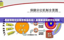 尊越保险分红机制详解，是否包含利息？全面解读保险分红情况。