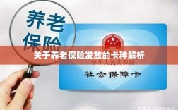 养老保险发放卡种深度解析
