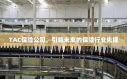 TAC保险公司，引领保险行业未来先锋