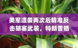 美军遭袭两次后精准反击胡塞武装，特朗普晒视频揭示行动现场