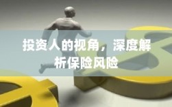从投资人视角深度解析保险风险