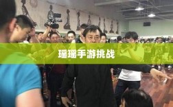 手游玩家的技能与策略探讨，瑶瑶玩转输出型手游的挑战与可能