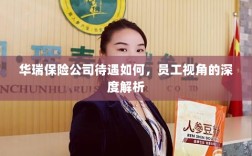 华瑞保险公司员工待遇深度解析，员工视角探讨揭秘公司福利待遇内幕