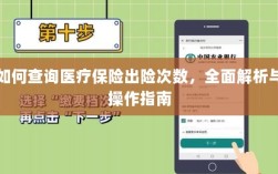 医疗保险出险次数查询指南，全面解析与操作指南
