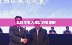 风险投资人成功融资策略与关键要素解析