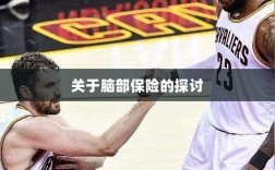 脑部保险，深度探讨与解析