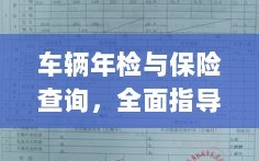 车辆年检与保险查询操作指南，全面指导与详解
