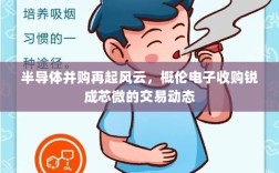 半导体并购再起风云，概伦电子收购锐成芯微的交易动态