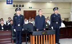 紫光集团前董事长赵伟国一审被判死缓，损失超14亿元案揭秘