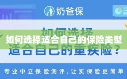 如何选择适合自己的保险类型，投保指南与策略建议