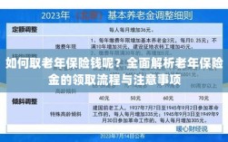 全面解析，老年保险金的领取流程与注意事项指南——如何顺利领取老年保险金？