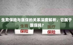 生育保险与医保关系深度解析，是否属于医保范畴？