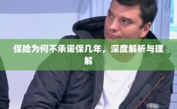 深度解析，保险承诺期限的隐情与理解