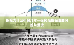 探究短期保险的风险与挑战，为何保险不选择保障几年？