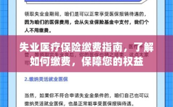 失业医疗保险缴费指南，全面解析缴费流程，保障您的权益不受影响