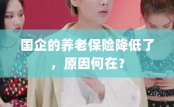 国企养老保险降低的原因探究