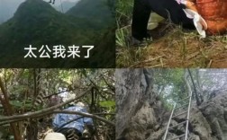 华南F3祭祖盛况，无人机与机器狗齐上阵！