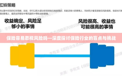 保险行业盲点与挑战，易被忽视的风险深度探讨