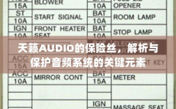 天籁AUDIO保险丝，解析与音频系统保护的关键要素