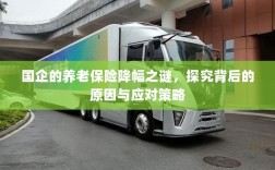国企养老保险降幅之谜，探究原因与应对之策