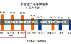 纯电车保险费用降低途径探索，更经济的保险选择攻略