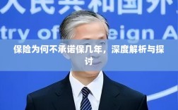 深度解析与探讨，保险承诺期限的隐衷与考量