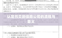 认定书交到保险公司的流程及其意义解析