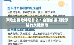 全面解读保险领域的关键保障，主要险种介绍与保障内容分析