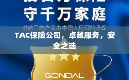 TAC保险公司，卓越服务，信赖的安全之选