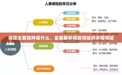 全面解析保险领域关键领域，主要险种介绍与概述