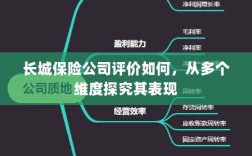 长城保险公司多维评价，深度探究其表现与口碑