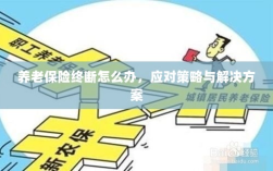 养老保险中断应对指南，解决方案与策略