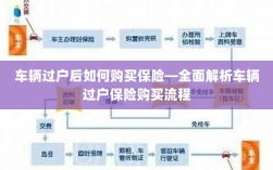 车辆过户后保险购买指南，全面解析车辆过户保险购买流程