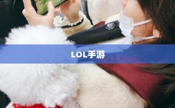 LOL手游必备辅助APP指南
