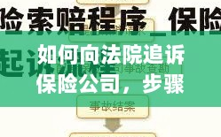 追诉保险公司指南，步骤、要点与注意事项解析