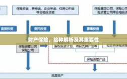财产保险险种解析与重要性探讨