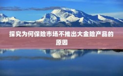 探究保险市场未推出大金险产品的原因分析