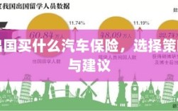 出国购车保险指南，选择策略与建议