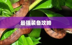 手游老鼠最强装备推荐攻略