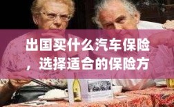 出国旅行必备，选择合适的汽车保险方案，保障旅途无忧