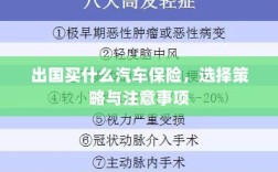 出国购车保险指南，选择策略与注意事项