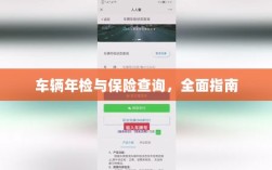 车辆年检与保险查询，全面指南解析