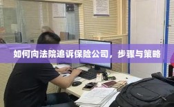 如何追诉保险公司，步骤、策略及法律途径指南