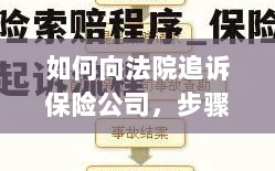 如何向法院追诉保险公司，详细步骤与策略指南