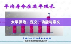 太平保险，定义、功能及其重要意义