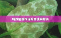 特殊病医疗保险使用指南详解