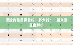 保险免费保养揭秘，费用及深度解析