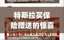 特斯拉保险购买惊喜与权益全方位解读，赠送的保障与惊喜