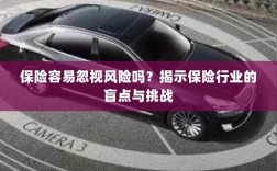 保险行业盲点揭秘，易被忽视的风险与挑战探究