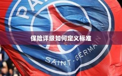 保险评级标准定义解析